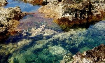 Феррария – купание в горячем океане (2,5-3 часа)