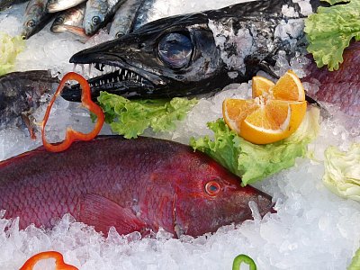Рыба и морепродукты в ресторане Португалии — мини-гайд для туристов
