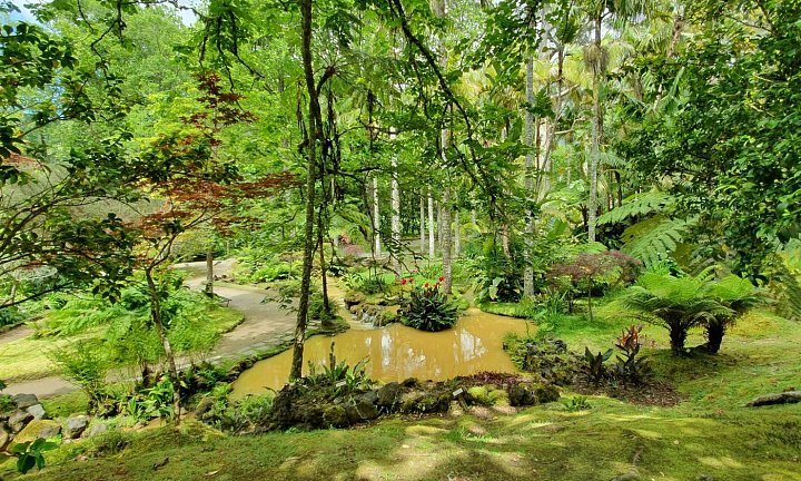 Ботаническая пешая экскурсия по парку Жозе ду Канту (2,5-3 часа)